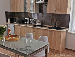 Apartament Karkonoski w miejscowości Piechowice