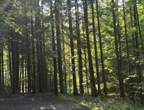 Uroczysko Pod Babią Górą  w miejscowości Zawoja