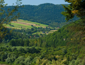 Domki przy Lesie  w miejscowości Bukowiec - Bieszczady