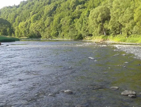 Domki przy Lesie  w miejscowości Bukowiec - Bieszczady