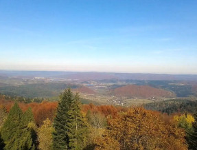 Domki przy Lesie  w miejscowości Bukowiec - Bieszczady