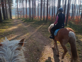 Agroturystyka Stajnia Kanthaka  w miejscowości Czarny Piec