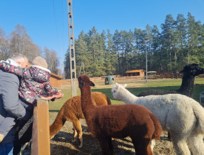 Agroturystyka Stajnia Kanthaka  w miejscowości Czarny Piec