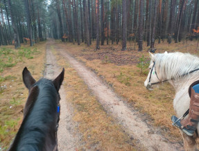 Agroturystyka Stajnia Kanthaka  w miejscowości Czarny Piec