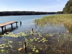 Domki Nad Jeziorem w miejscowości Dąbrowa