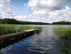 Domek letniskowy Wydminy  w miejscowości Wydminy