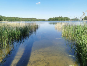 Domek letniskowy Wydminy  w miejscowości Wydminy