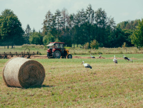 Alinówka - Domek na Mazurach  w miejscowości Piecki