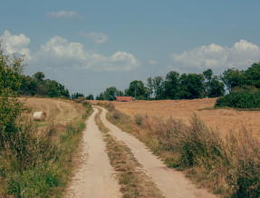 Alinówka - Domek na Mazurach w miejscowości Piecki