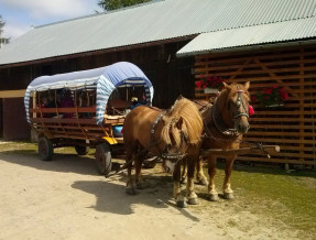 Agroturystyka i Domki Być  w miejscowości Komańcza