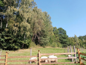 Leśny Zakątek-domek góralski na prywatnej działce w miejscowości Brenna