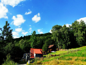 Leśny Zakątek-domek góralski na prywatnej działce w miejscowości Brenna