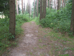 Dom do wynajęcia Przerwanki  w miejscowości Przerwanki