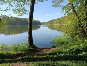 Mazury. Domek pod Lasem Koczek w miejscowości Koczek