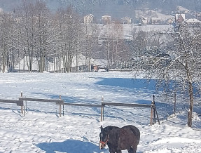 Pokoje Gościnne Joanna - Bierna  w miejscowości Bierna