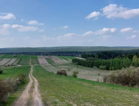 Domek Przystań Kajakowa w miejscowości Obrocz