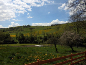 Domek nad rzeką  w miejscowości Kacwin