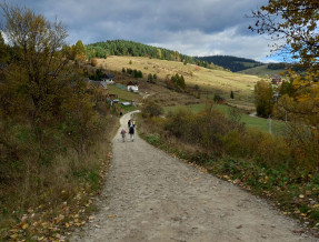 Pieniński Zielnik  w miejscowości Sromowce Wyżne