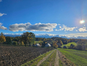 Izerskie Gaje  w miejscowości Wojcieszyce