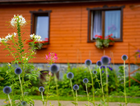 Gospodarstwo Agroturystyczne Julia w miejscowości Wysowa - Zdrój