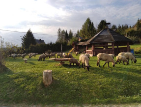 Agroturystyka pod Świerkami  w miejscowości Berezka