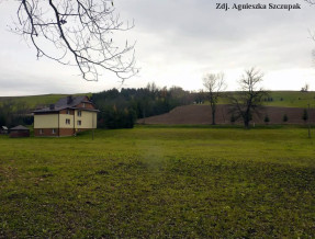 Pokoje u Jolanty i Piotra  w miejscowości Muszynka