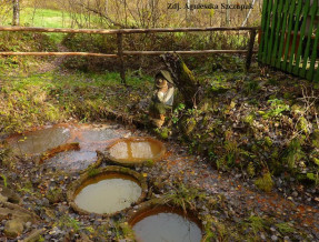 Pokoje u Jolanty i Piotra  w miejscowości Muszynka