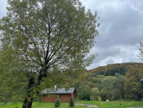 W Dolinie Sanu w miejscowości Zatwarnica