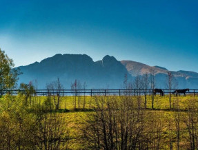 Willa Przeklasówka  w miejscowości Zakopane