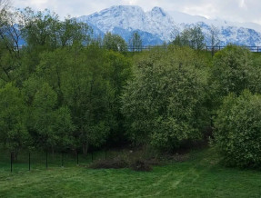 Willa Przeklasówka  w miejscowości Zakopane