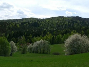 Domki pod Ostrym Wierchem  w miejscowości Wysowa - Zdrój