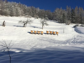 Ośrodek Turystyki Górskiej Alaska  w miejscowości Żabnica