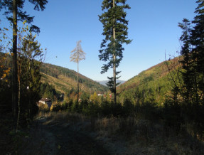 Ośrodek Turystyki Górskiej Alaska  w miejscowości Żabnica