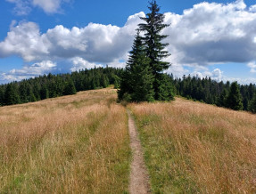 Pod stokiem  w miejscowości Lubomierz