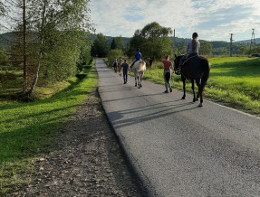 Wichrowe Wzgórza  w miejscowości Strzebowiska