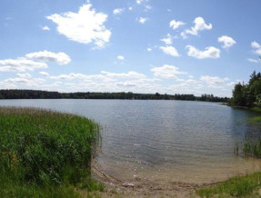 Dom w Puszczy Augustowskiej  w miejscowości Gorczyca