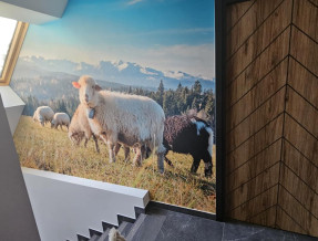 Góralskie Spanie przy Termach  w miejscowości Witów