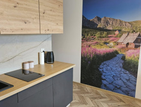 Góralskie Spanie przy Termach  w miejscowości Witów