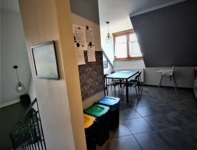 Górska Poziomka  w miejscowości Radków (woj. dolnośląskie)