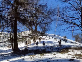 Agroturystyka Gazdówka  w miejscowości Piwniczna-Zdrój
