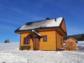 Chatka u Władka  w miejscowości Wysowa - Zdrój