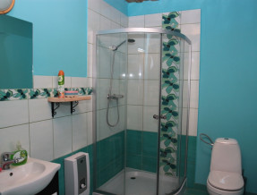 Janewiczówka  w miejscowości Kopiec 