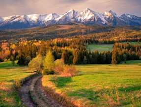 Bukovina Concept Mountain  w miejscowości Bukowina Tatrzańska