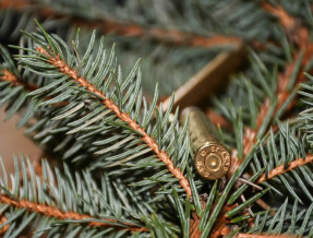 Sękowa Ostoja  w miejscowości Leszczyny (woj. podkarpackie)