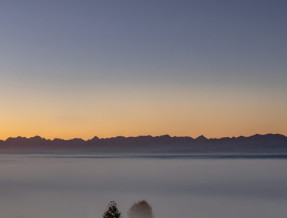 Domek pod Herbikiem  w miejscowości Odrowąż