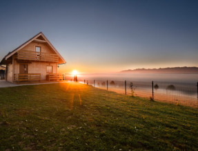 Domek pod Herbikiem  w miejscowości Odrowąż