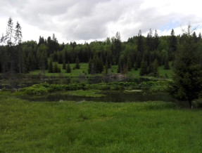 Pokoje Gościnne "U Górki"  w miejscowości Rzepiska