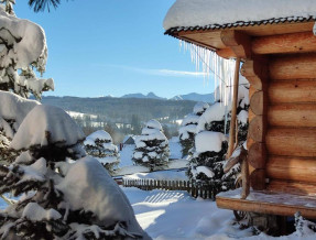 Domki Szwajnosówka  w miejscowości Witów