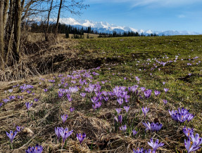 Apartamenty za Wierchem  w miejscowości Bańska Wyżna