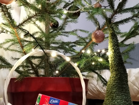 Chata Ku Tatrom  w miejscowości Biały Dunajec